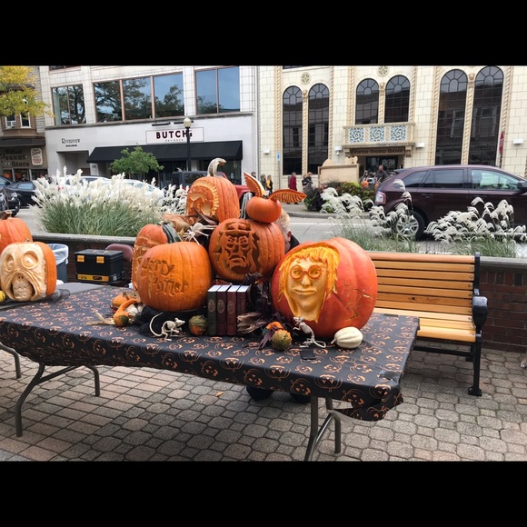 Meet your Posher, Sage - Picture 1 of 1